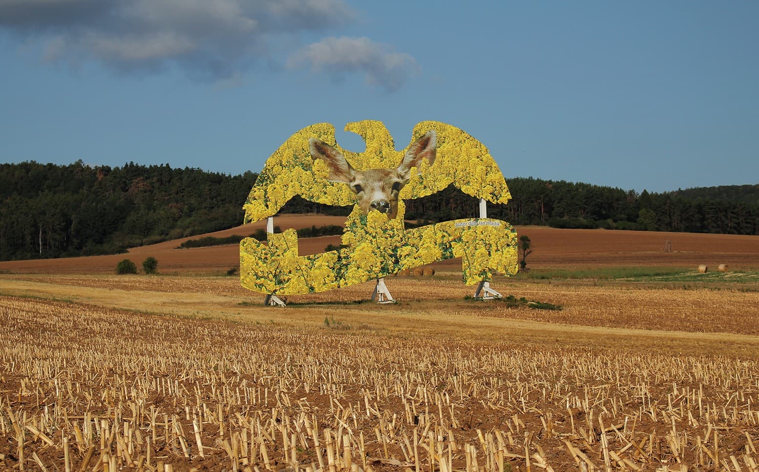 Jan Hladík - obrázek 3