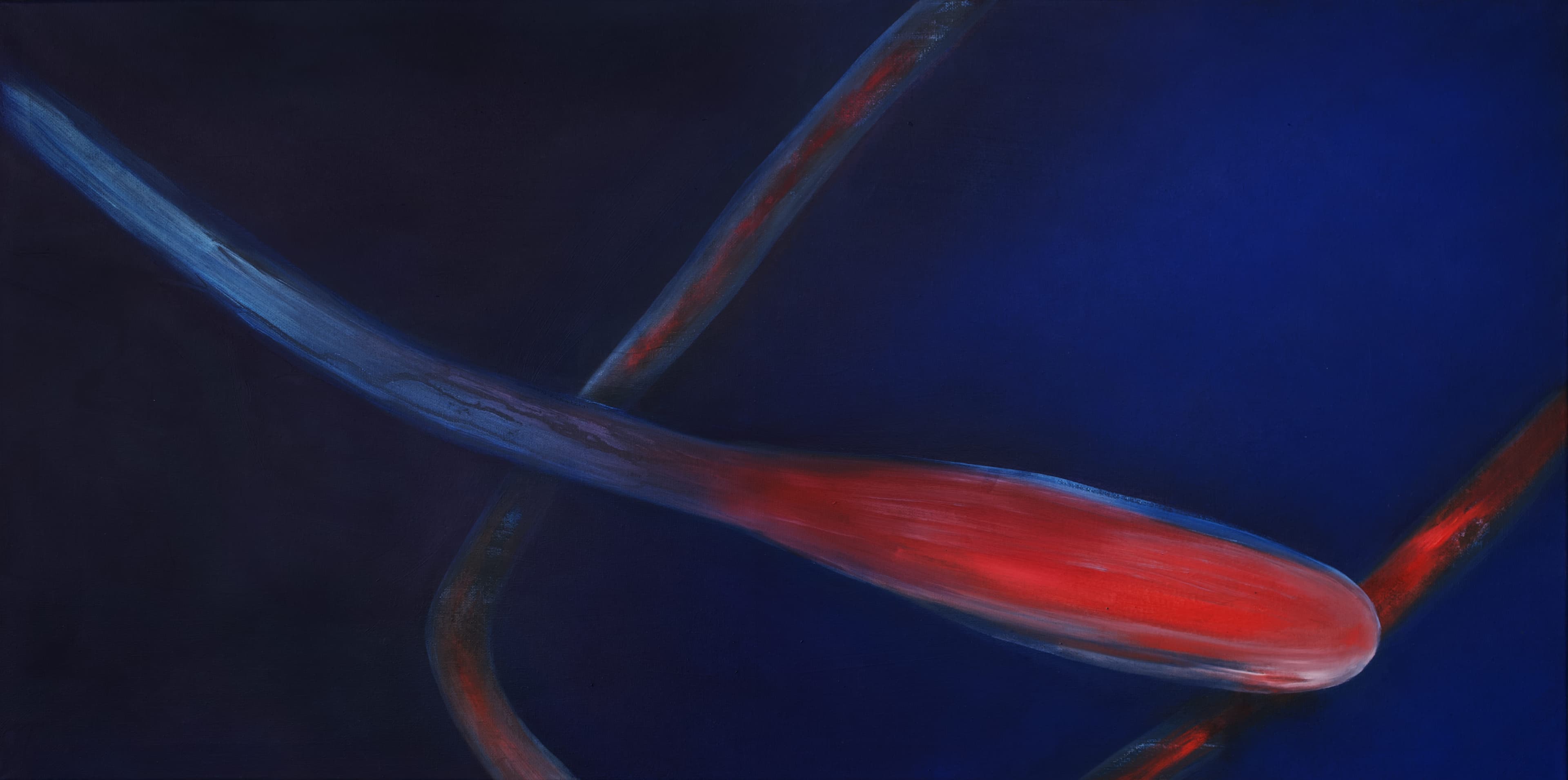 Kristýna Nejedlá Bujárková - obrázek 6