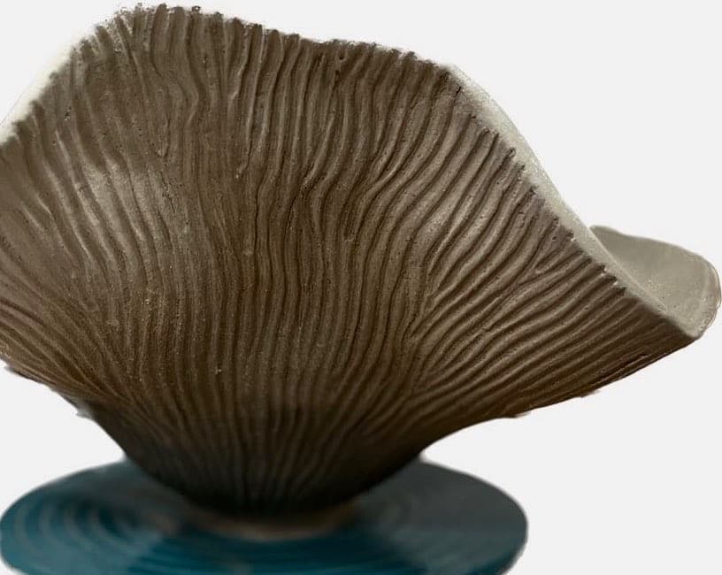 Valentina Římalová - obrázek 4