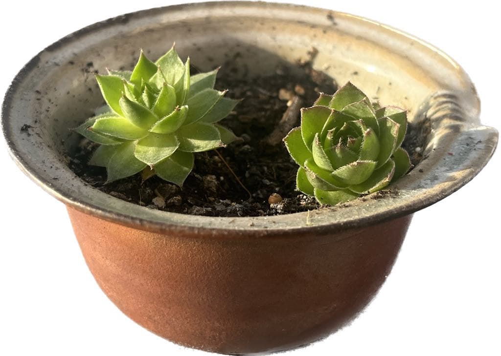 Valentina Římalová - obrázek 13