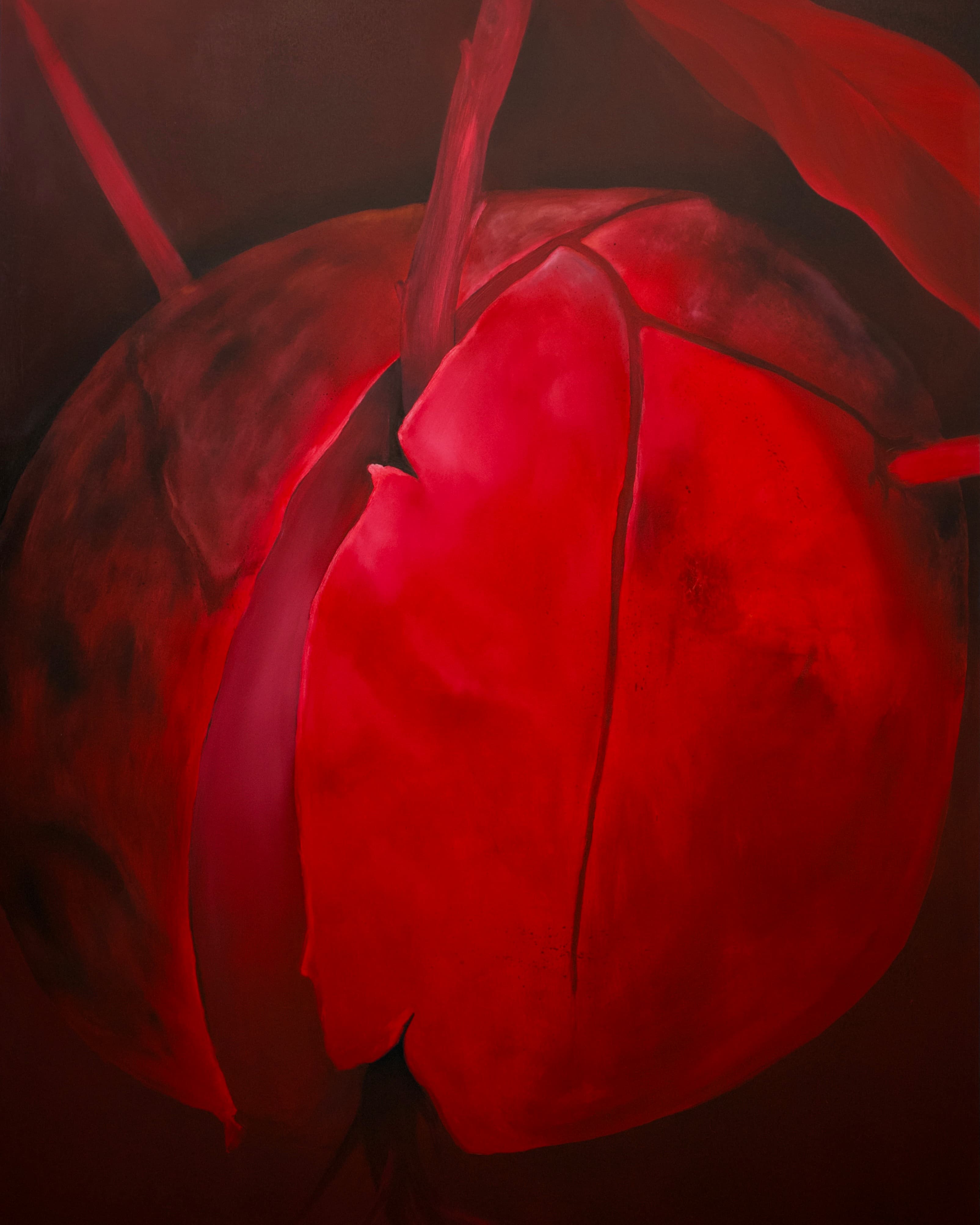 Kristýna Nejedlá Bujárková