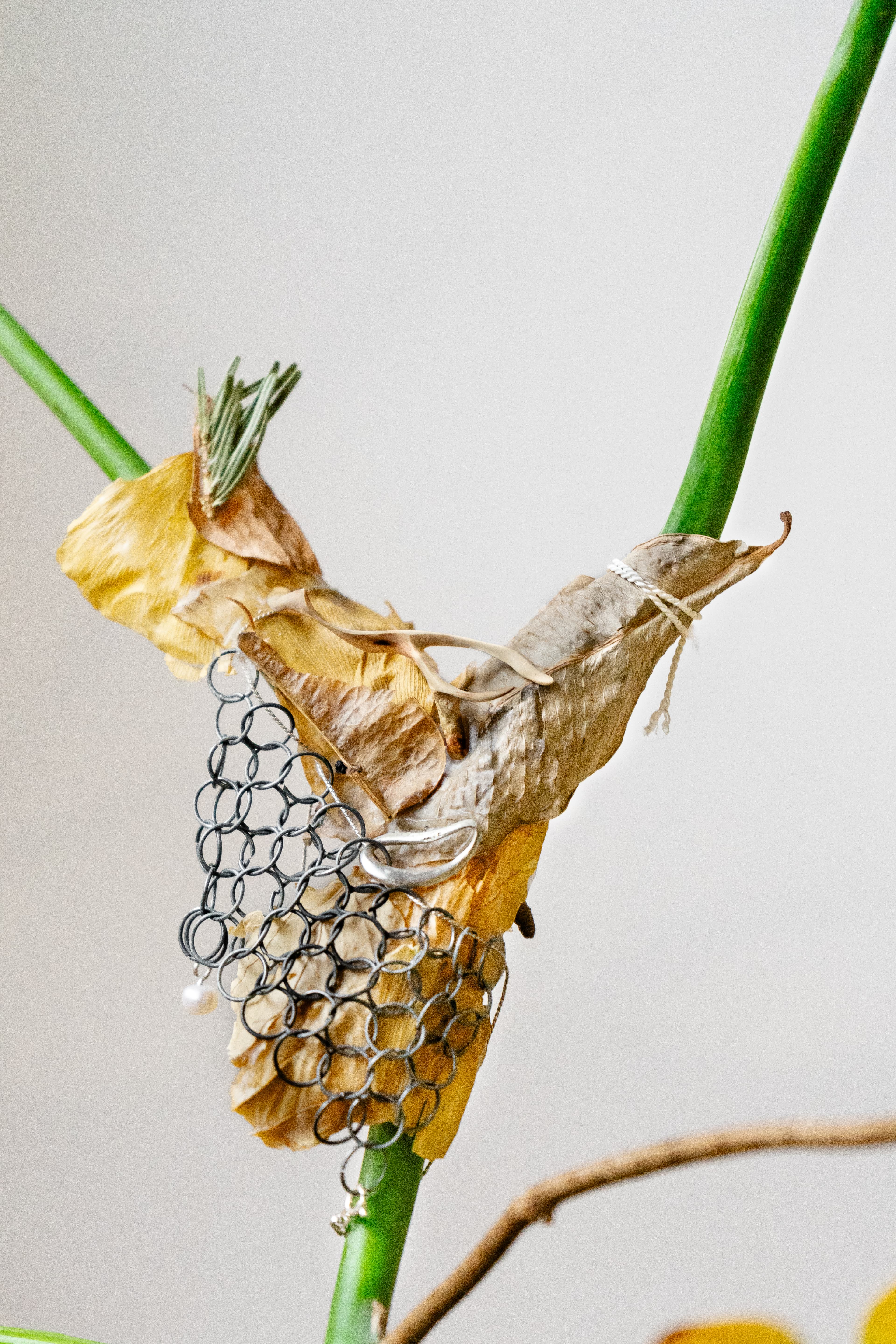 Dominik Bek - obrázek 1